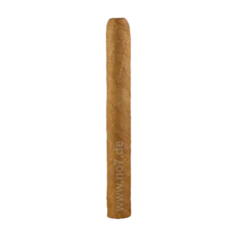 John Aylesbury Jacob van Meer Petit Corona
