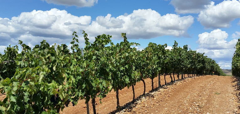 Rioja Weine - Spanische Lebensfreude